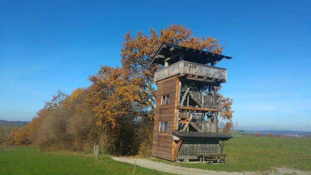 开云娱乐-包含巴伐利亚南部地区足球推广计划获得政府资助的词条